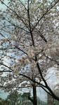 P1000009.JPG