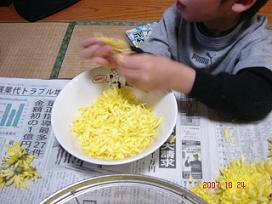 kiku03.jpg