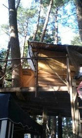 treehouse.jpg
