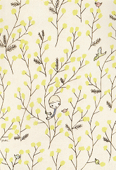 tanpopo.png