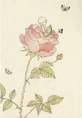 rose.png
