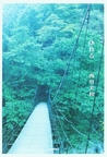 yureru01.jpg