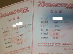 kansou2010.png