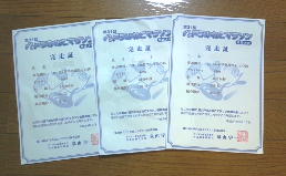 marathon2012.png