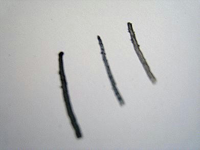 b74f7a27.JPG