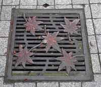 紅葉印のマンホール