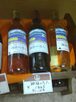suwa03.jpg
