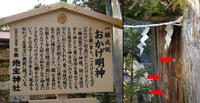kifune06.jpg