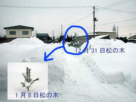 ゆき