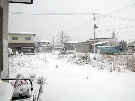 雪1229