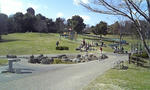 977045d0.jpg