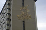 DSC01147.jpg