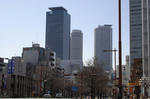 DSC01167.jpg