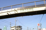 DSC01175.jpg