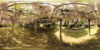 itobun_Fuji_pano2_up.jpg