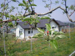 IMGP1220.JPG