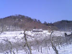 CA878SBH.jpg