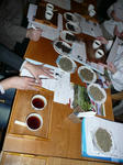 P1010212.JPG