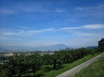 CAFFOCM7.jpg