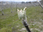 SH3F05990002.jpg