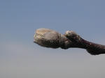 SH3F0577.jpg
