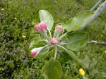 SH3F0685.jpg
