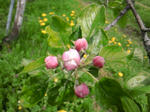 SH3F0688.jpg