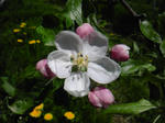 SH3F0690.jpg