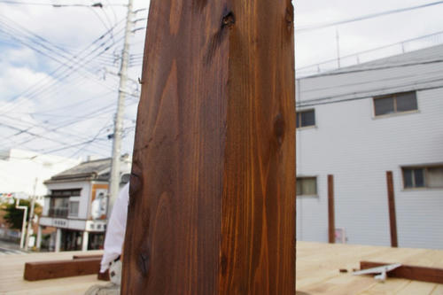 IMGP9555_ks_ks.jpg