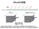 Woodの実験