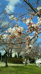 201003301048001.jpg
