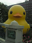 111024_01.jpg