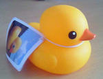 111024_03.jpg