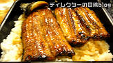 成田のうなぎ専門店「川豊本店」（うな重アップ）