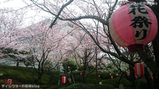 千葉県八千代市の桜2016 まだ五分咲き＠八千代中央駅周辺～新川千本桜