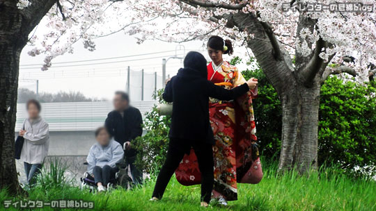 千葉県八千代市の桜2016 まだ五分咲き＠八千代中央駅周辺～新川千本桜