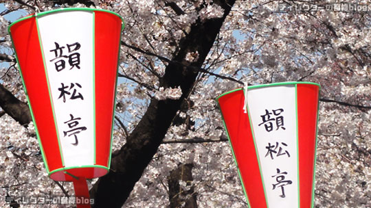 桜満開の上野公園にある韻松亭で“お花見弁当 豆桜”を満喫