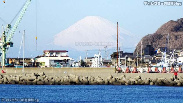 日曜日の朝の館山の海岸からは、こんな大きな富士山がきれいに見えました
