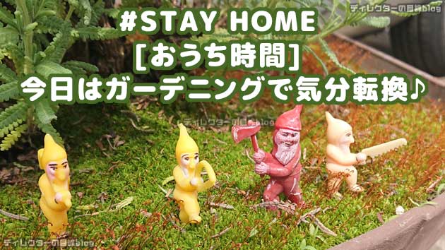 ＃STAY HOME [おうち時間] 今日はガーデニングで気分転換♪