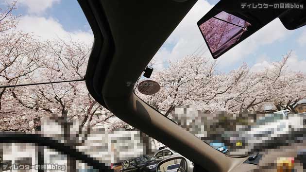 クルマから見た桜