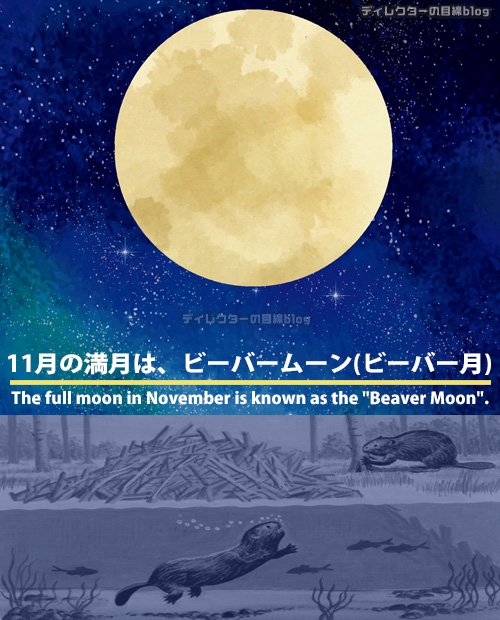 21年11月の満月 ビーバームーン ビーバー月 を見るなら 19日 金 ビーバーの習性から 社交性 教育 家族 人間関係の願いごとが叶う ほぼ皆既月食 も見られる ディレクターの目線blog