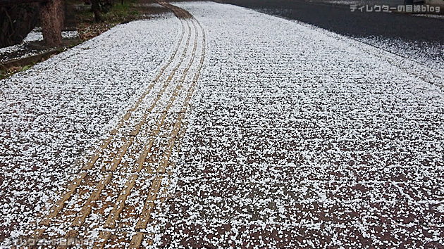 雪がうっすらと