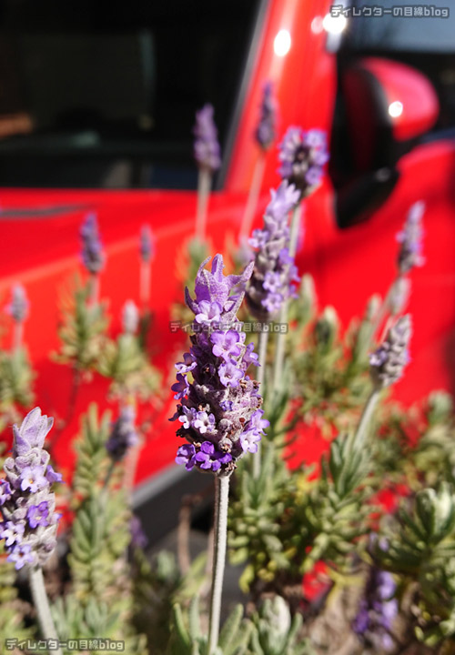 本日二度目の洗車を終え、花粉や黄砂もきれいに洗い流しました