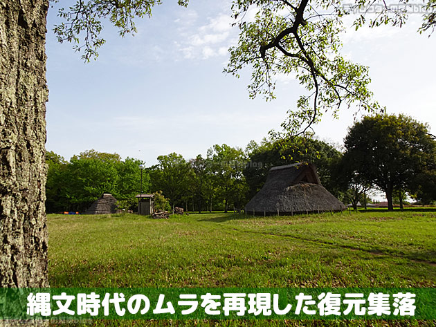 縄文時代のムラを再現した復元集落(千葉市立加曽利貝塚博物館)