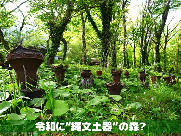 令和の縄文土器の森？(千葉市立加曽利貝塚博物館)