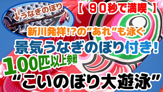 【90秒で満喫】八千代ふるさと親子祭「景気うなぎのぼり＆こいのぼり大遊泳 2023」