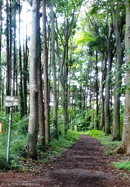 千葉県立 船橋県民の森