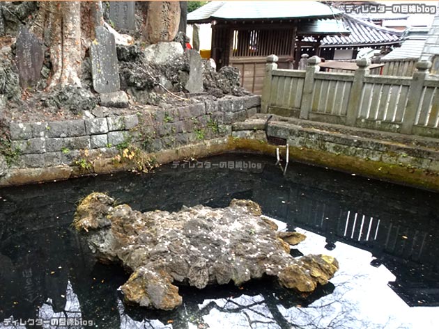 成田山新勝寺「亀の池」