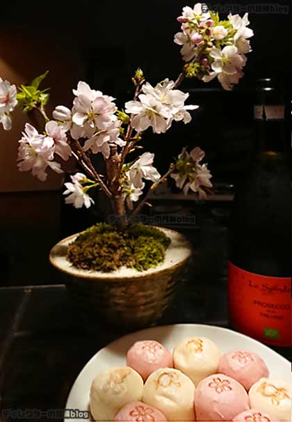 宅内で夜桜見物