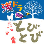 連続テレビ小説「おむすび」